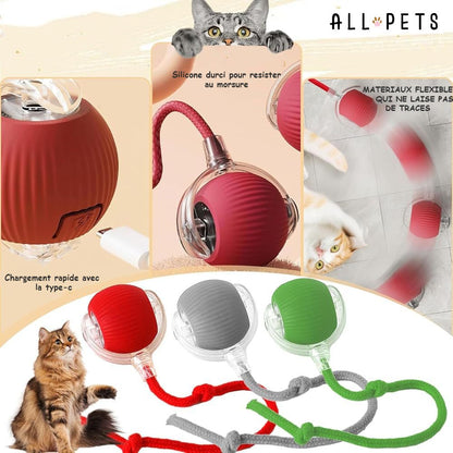 Interactive Mouse Ball for Cats - Stimulating Toy with Feathers
