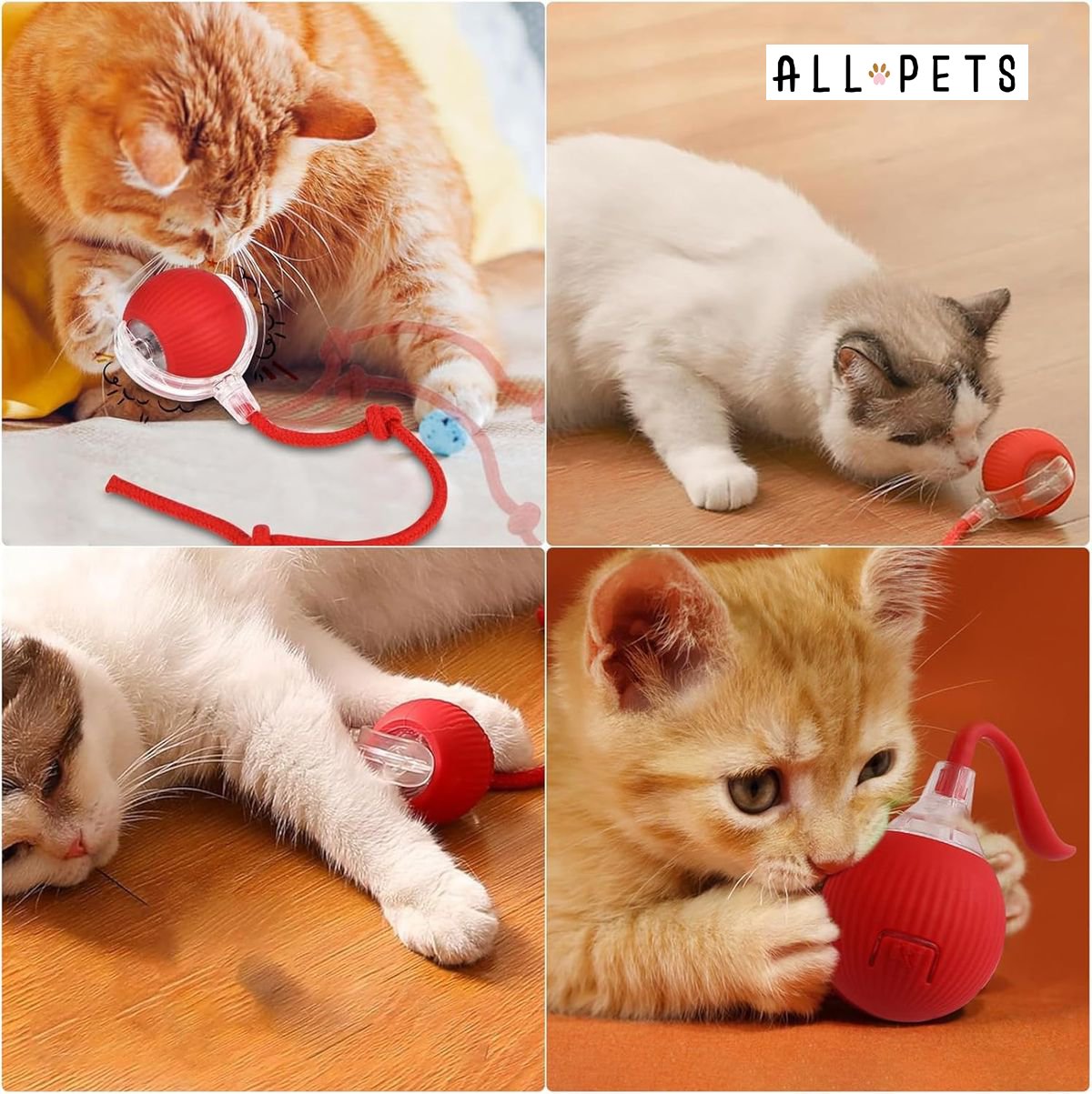 Interactive Mouse Ball for Cats - Stimulating Toy with Feathers