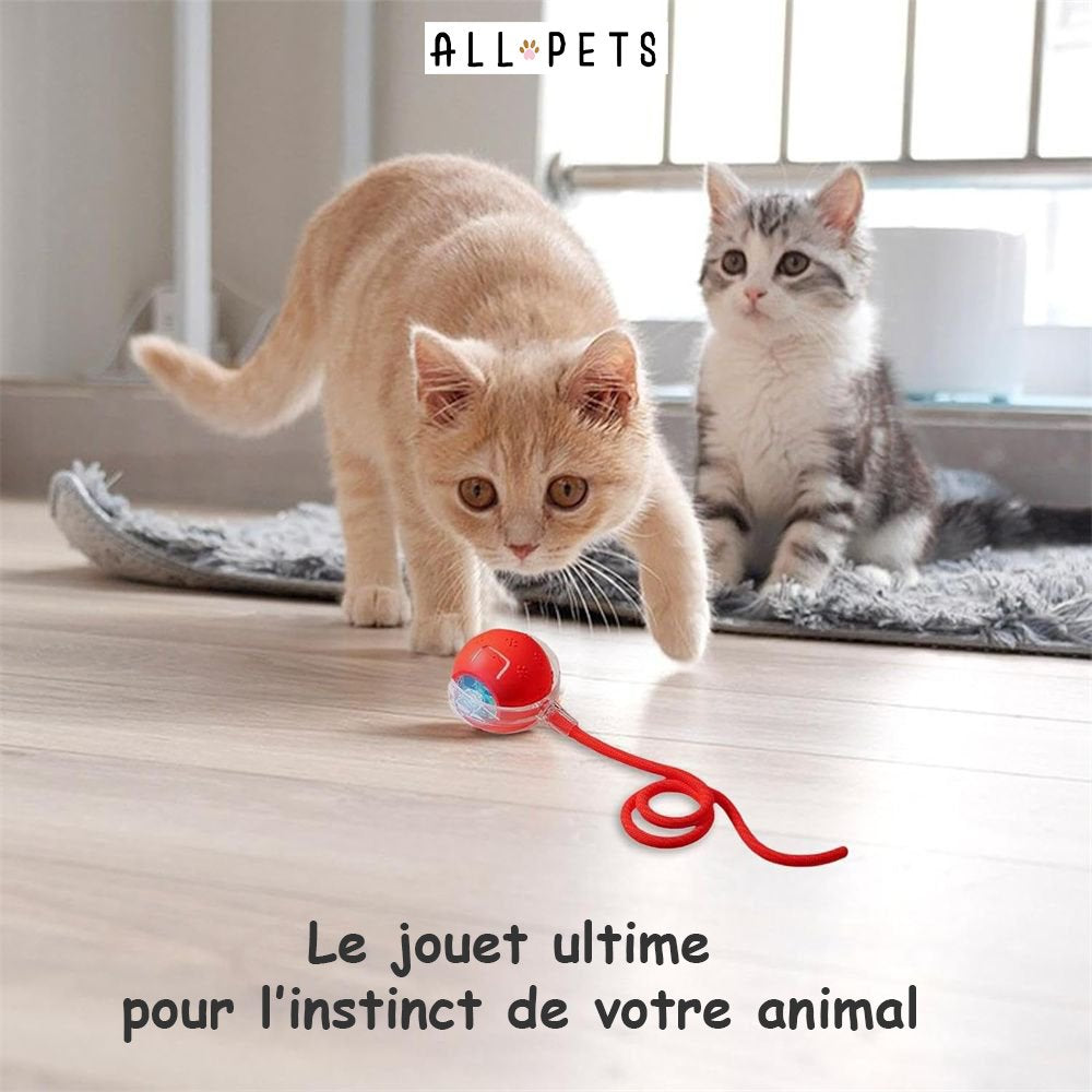 Balle Interactive Anti-Ennui