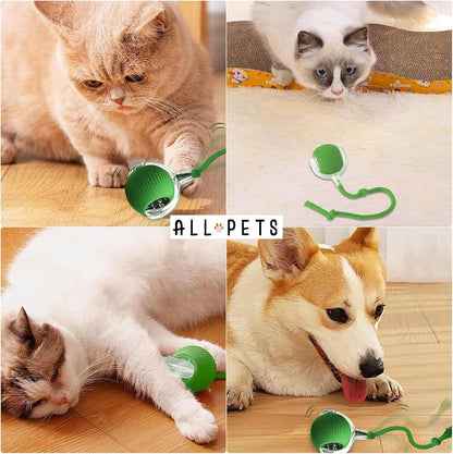 Interactive Mouse Ball for Cats - Stimulating Toy with Feathers