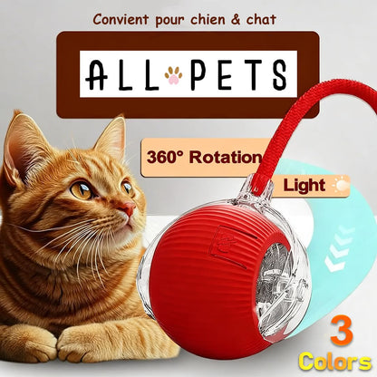 Balle Interactive Anti-Ennui