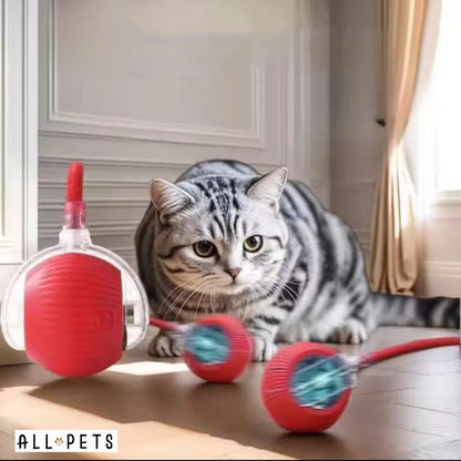 Interactive Mouse Ball for Cats - Stimulating Toy with Feathers