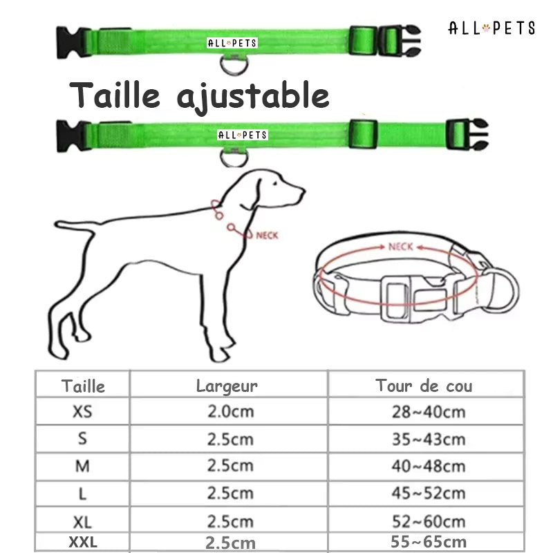 Collier led lumineux - Sécurité Nocturne Rechargeable