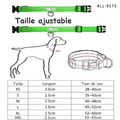 Collier led lumineux - Sécurité Nocturne Rechargeable