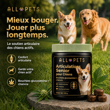Mieux bouger, jouer plus longtemps