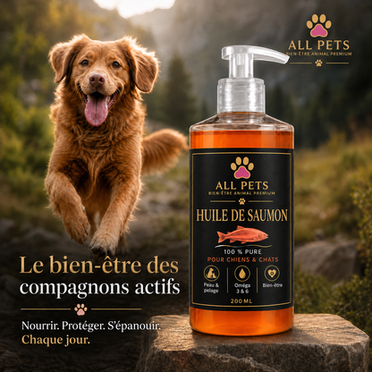 Le bien-être des compagnons actifs