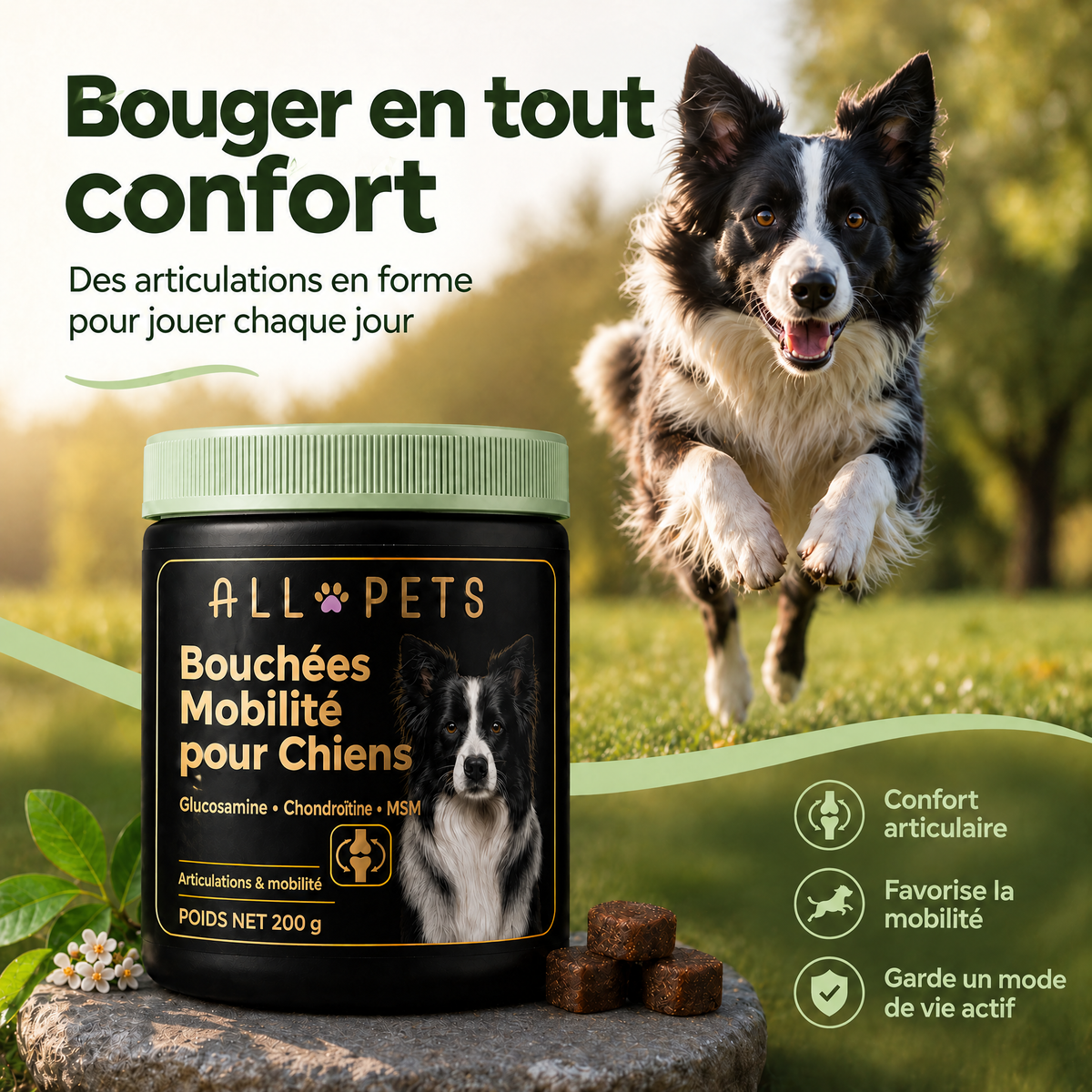 Bouger en tout confort