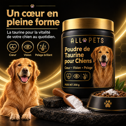 Un cœur en pleine forme – taurine pour chien
