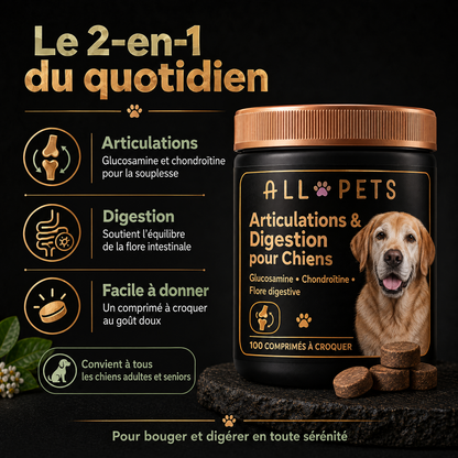 Le 2-en-1 du quotidien : articulations et digestion