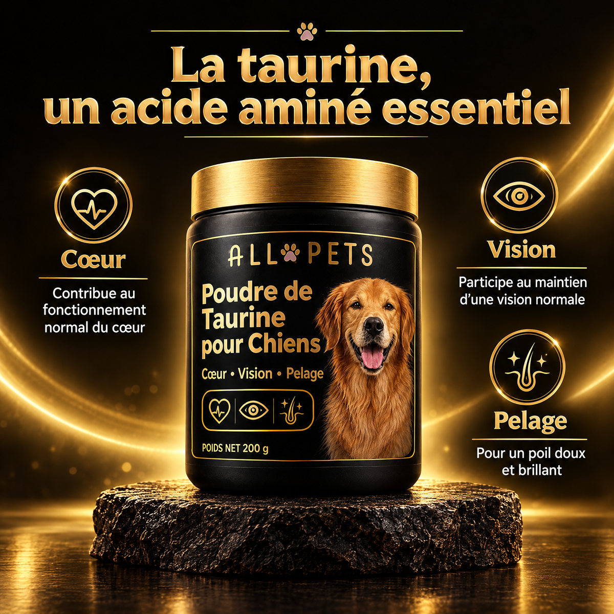 La taurine pour chien : cœur, vision et pelage – ALL-PETS